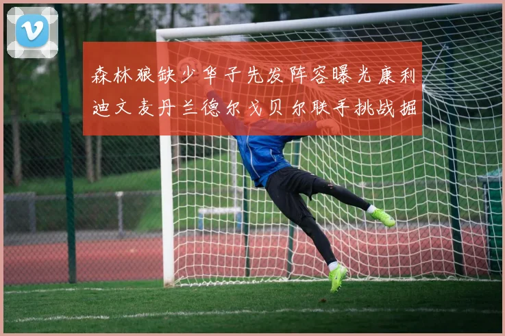 森林狼缺少华子先发阵容曝光康利迪文麦丹兰德尔戈贝尔联手挑战掘金