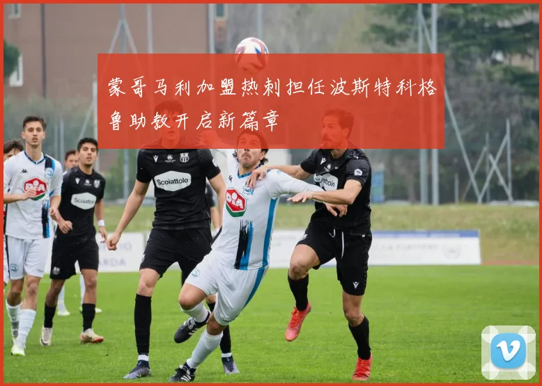 蒙哥马利加盟热刺担任波斯特科格鲁助教开启新篇章