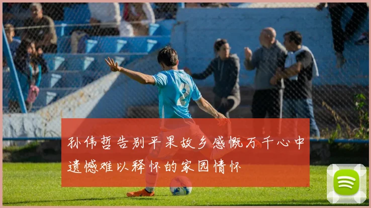 孙伟哲告别平果故乡感慨万千心中遗憾难以释怀的家园情怀